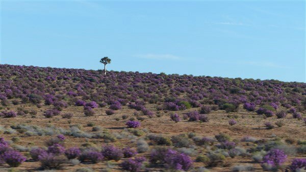 P1050499