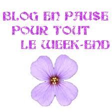 blog_en_pause