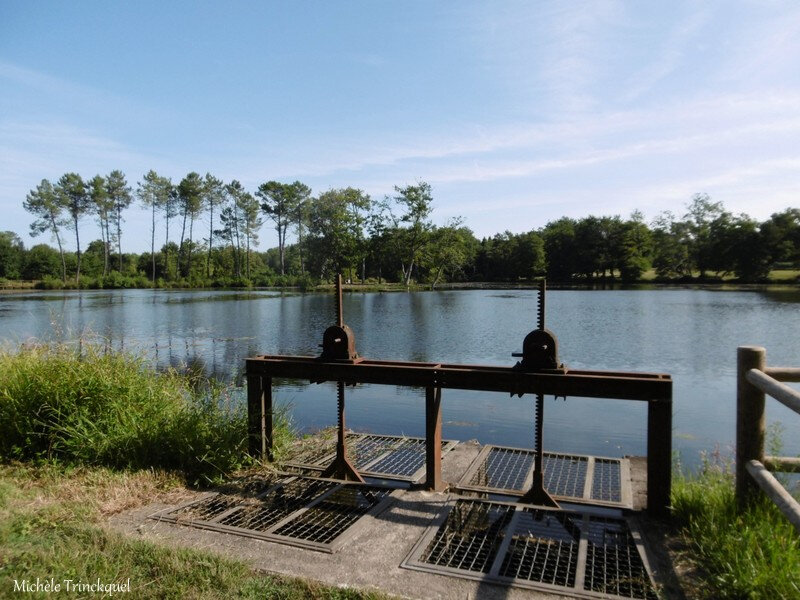 Etang de la Glacière 020918