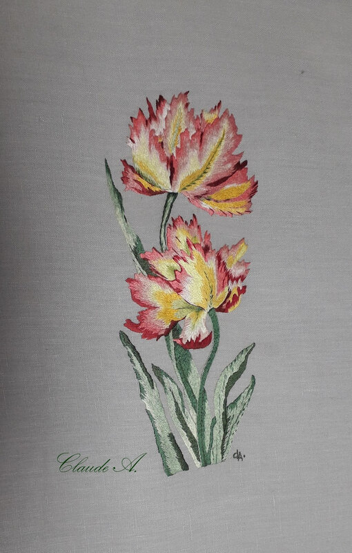tulipes repassées