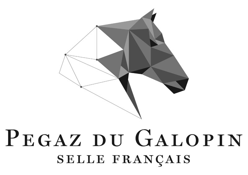 Logo pour le cheval Pegaz du Galopin pensionnaire de la la SHT – Société Hippique de la Thur à Cernay en Alsace. Création Agence MARS ROUGE à Mulhouse.