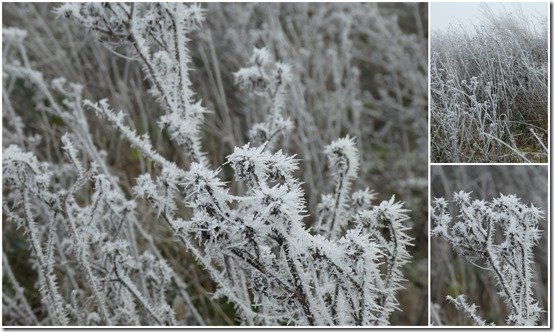 givre du 17 décembre 2022