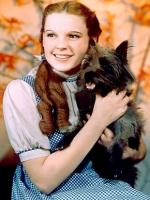 Dorothy Gale