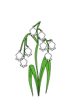 424px_Muguet