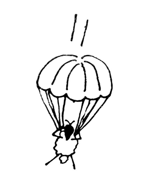 parachutt