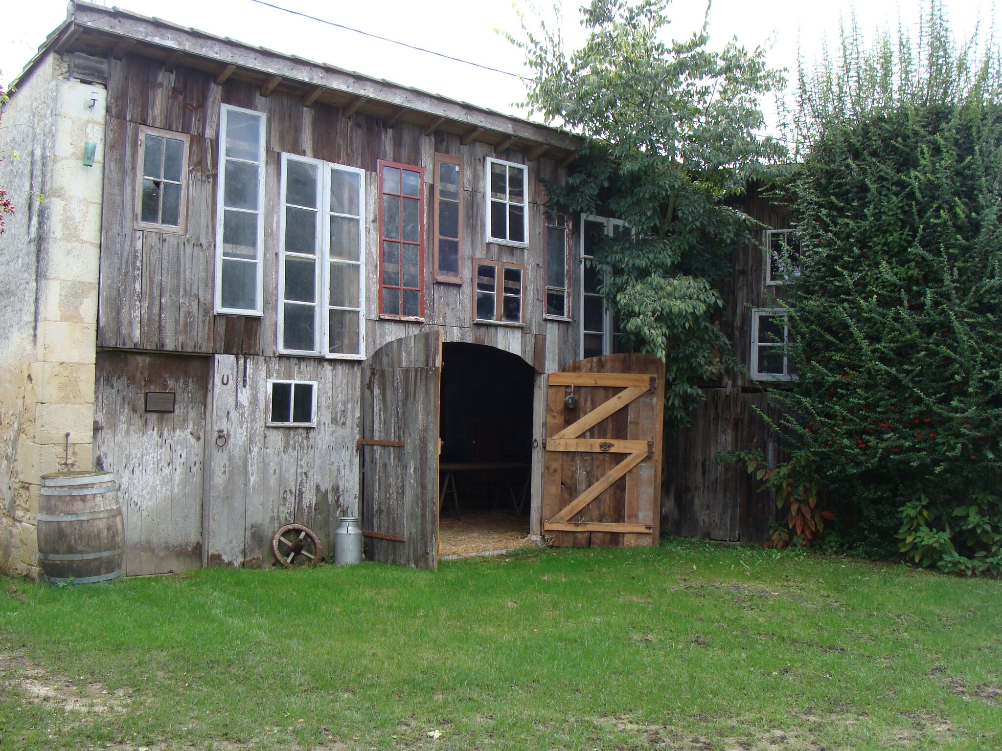 DSC06870
