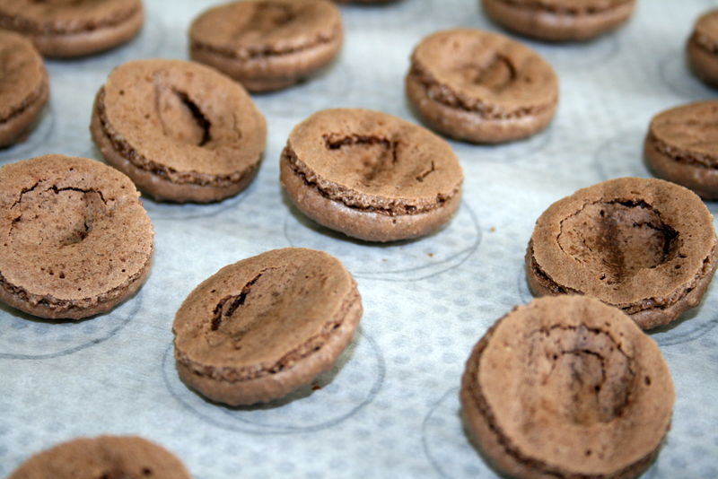 C'est tout chocolat 15