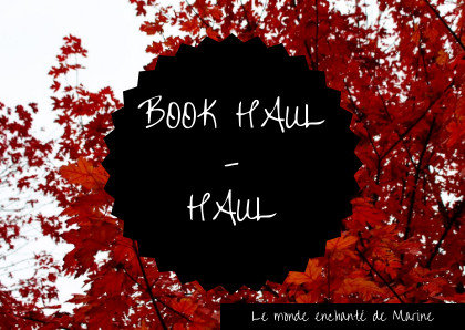 book haul automne