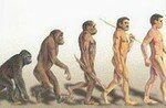 evolution_singe_1_