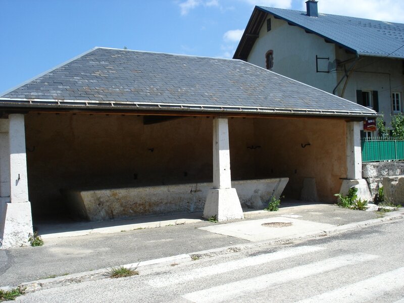 DSC03363
