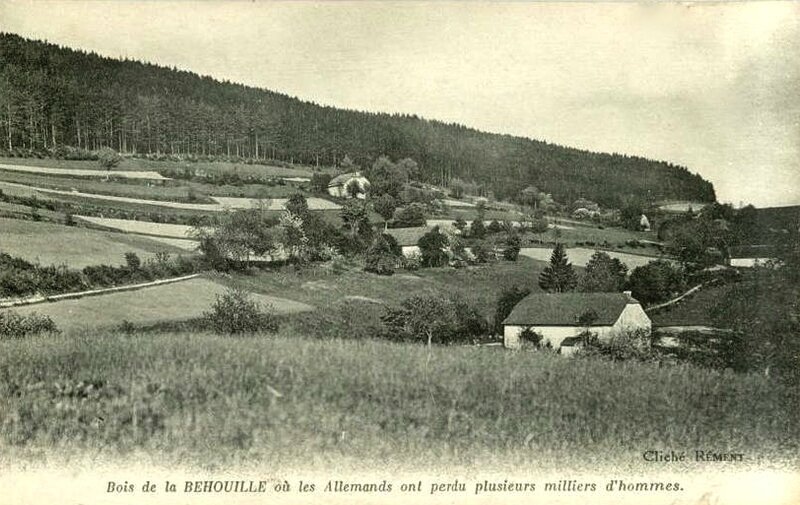 bois de la Béhouille