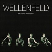 Wellenfeld2014-768x691