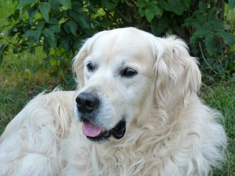 tobi09-2010 (1)