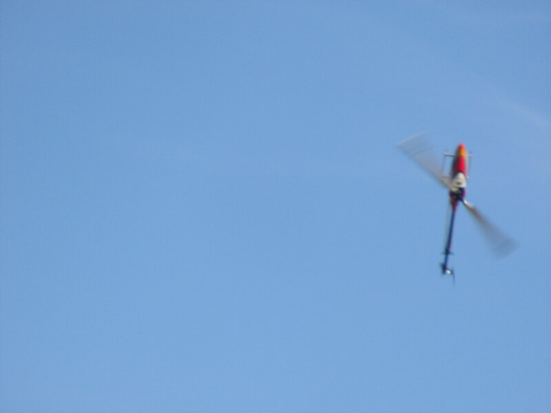 IMGP9016