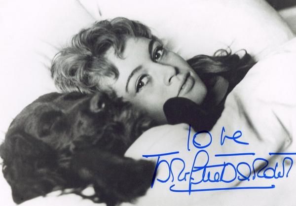 bb_autograph-animaux-chien-02