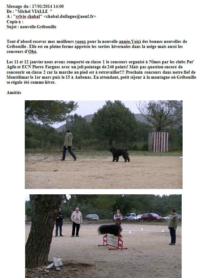 nouvelles de GRIBOUILLE DE LA DULLAGUE
