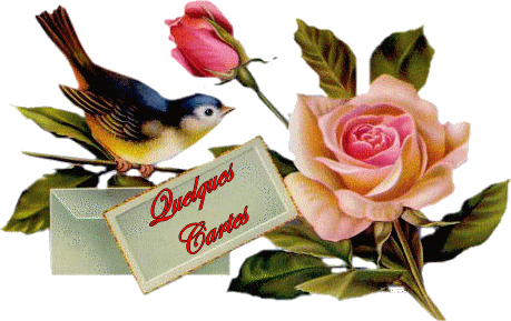 Gif Oiseau sur branche et rose enveloppe Quelques cartes 459 pixels
