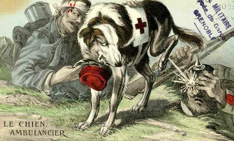 Le chien ambulancier