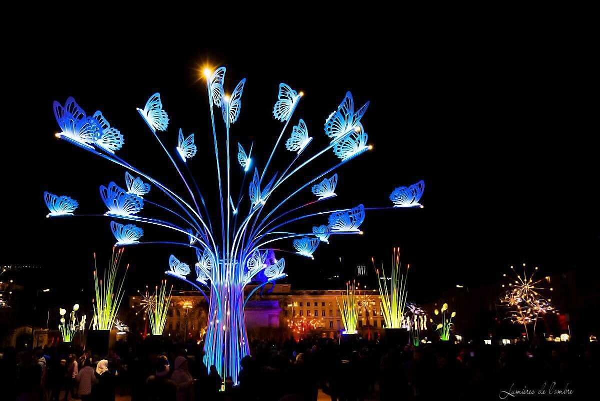 w_Bellecour _Arbre à papillon bleu_20171210_0271