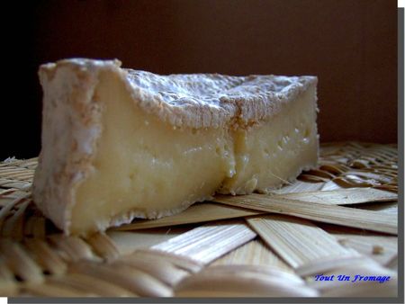 Camembert