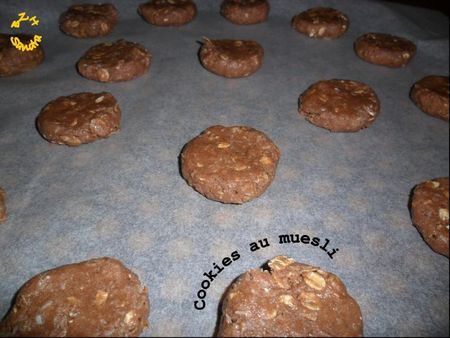 0331 Cookies au muesli 3