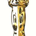 81ème soirée annuelle des <b>Oscars</b>