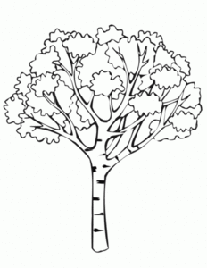 dessins-colorier-arbres-g