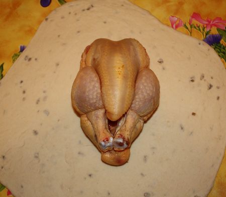 Poulet___recouvrir_de_pain