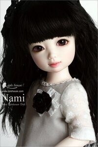 B_Nami_dt01