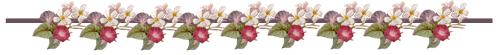 barre_fleur_blanches