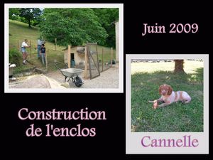 construction_de_l_enclos
