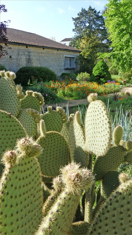 Jardin Sté Horticole 2 100523