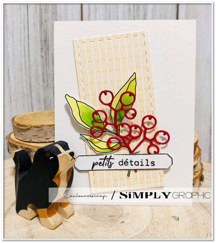 Couleuretscrap_pour_simply_graphic_carte_PL