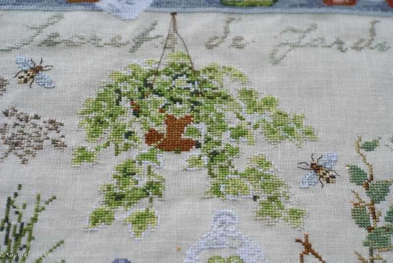 Secrets de Jardin 7 plante