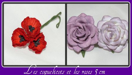 coquelicots et roses 5cm
