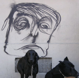 graff_2_pour_chienne_de_vie