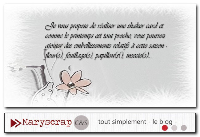 Shaker card Maryscrap - mars