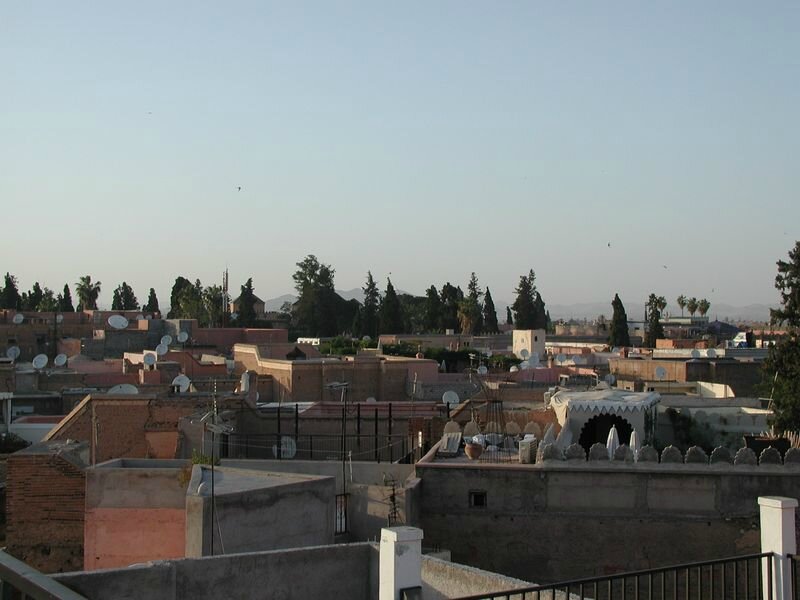 P1010031