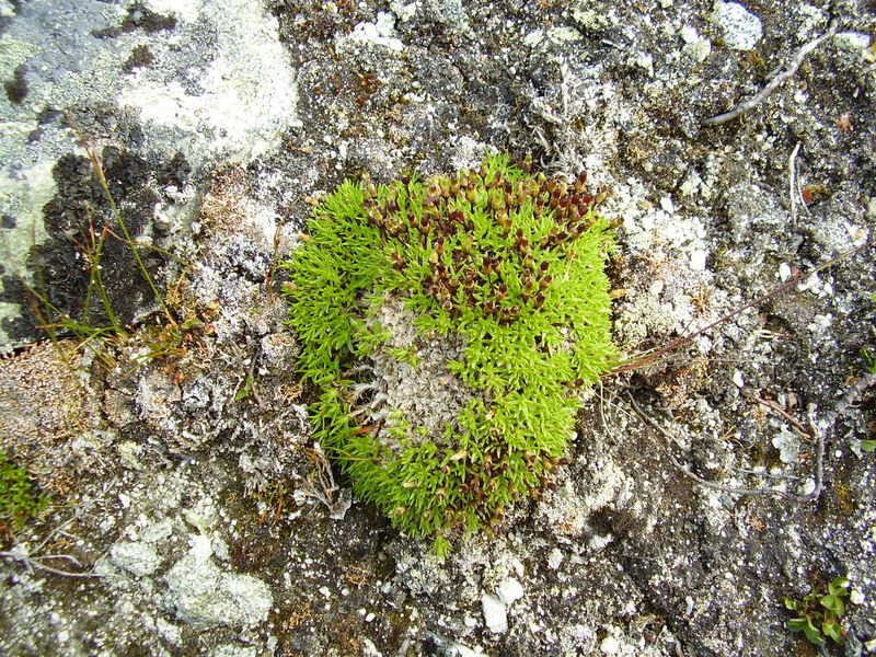10-08-08 Grotfjord (28)