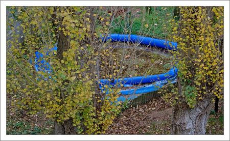 piscine_automne