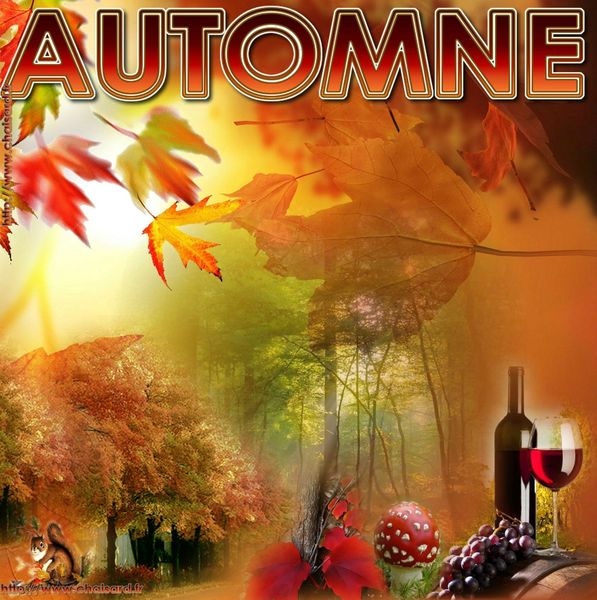 _ 0 CHAISARD AUTOMNE 1 SEPTEMBRE