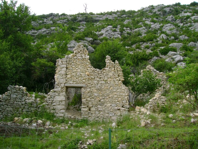 DSC06137
