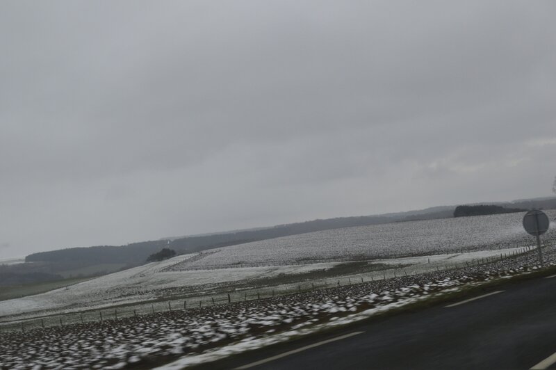 _DSC0091