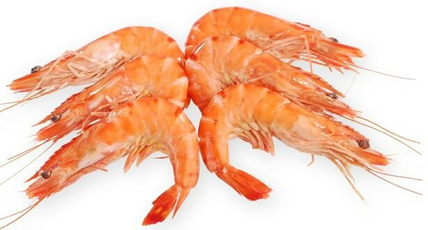 gambas-crevettes