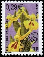 Orchidee_insulaire_2002_1