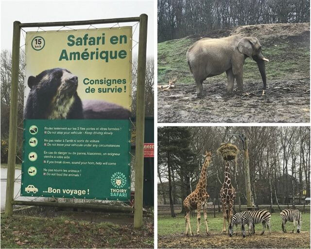 Safari à Thoiry ©Kid Friendly