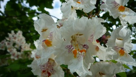 034