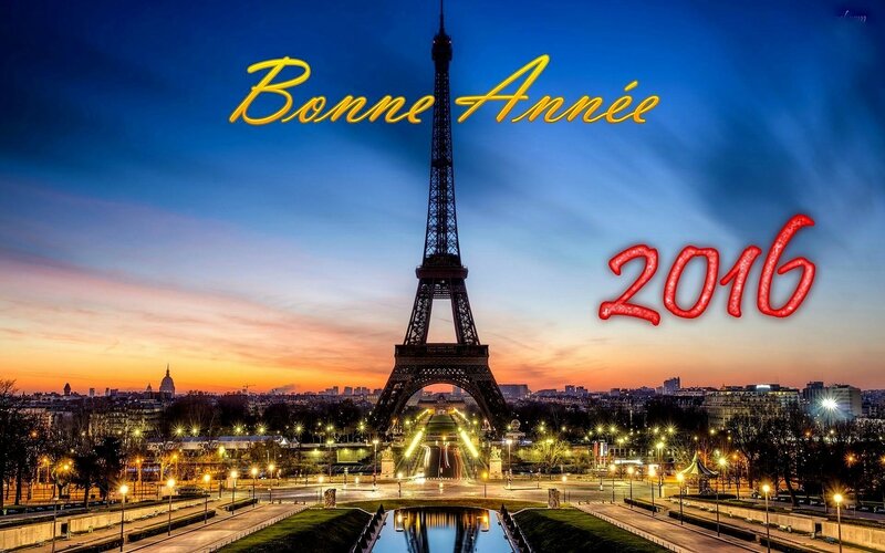 bonne-annee-2016-paris-006