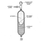bladder_type