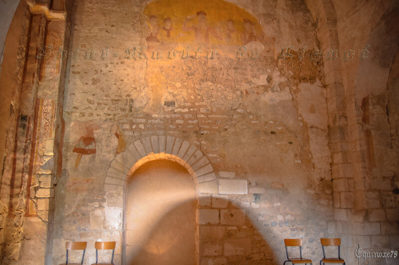 Saint Martin de Ligugé (13)